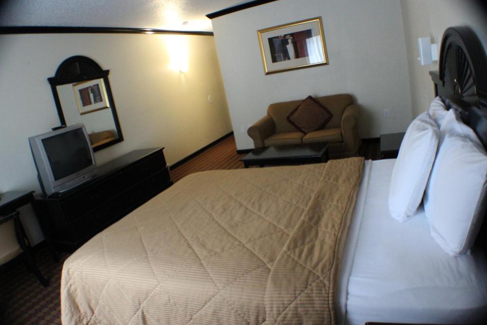Standard Single Room interior